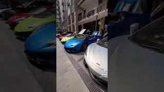 car culture houston 🫶🏼 