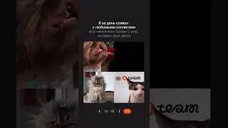 А ТЫ ЛЮБИШЬ ЗУМЫ?😂