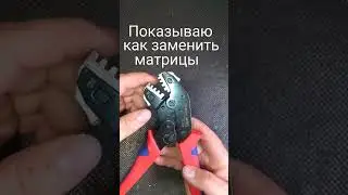 Как заменить матрицы на стриппере #топ