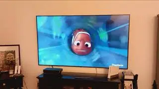 Finding Nemo filter scene