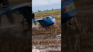 Rice field harvest #ricefield #rice #farmer #harvest #harvesting #manualwork #farming #racecar