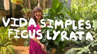 VIDEO REPANTE FICUS / NOME/DESCRISAO/TAGS CAPA