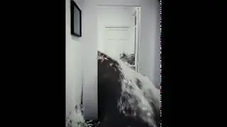 Corridor VFX Bifrost