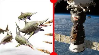 Warm-Blooded Ichthyosaur & Ambitious Spacewalk - 7 Days of Science
