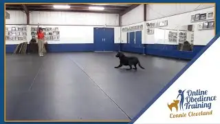 Signal Exercise: Addressing Failure to Drop