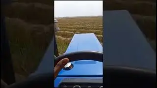 #music #song #love farmer
