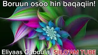 Boruun osoo hin baqaqiin! #Eliyaas_gabuula #SIILO'AM TUBE