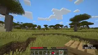 Приключения в мире Minecraft