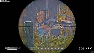 DayZ