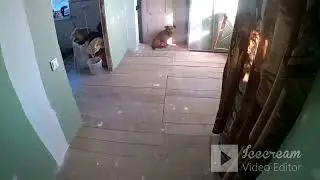 поспешил с теплым поло