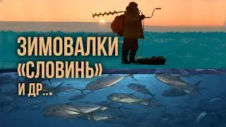 Подводная охота на зимовальных ямах. Сколько рыбы на ямах Словинь, Камень и др.?