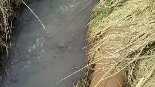 Загрязнение реки Любовка, Узловский района