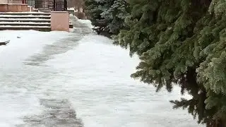 Дождь в канун Нового года