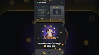 Комбо hamster 24 мая #kombat #кликер #telegram #kretsrelax