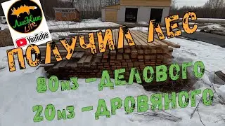 ПОЛУЧИЛ ЛЕС - 100 м3