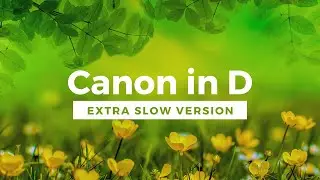 Pachelbel Canon in D Slow Ambient Version with Beautiful Garden Flowers Pictures (Extra Slowed Down)