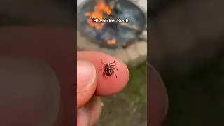 Thoughts and prayers for Kevin 😭