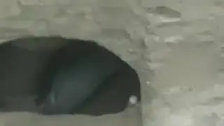Qabr azobidan olloh asrasin