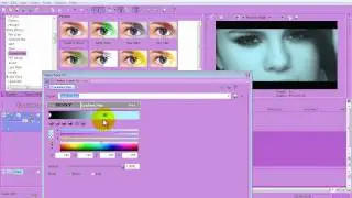 Sony Vegas || How to save a preset?