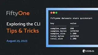 FiftyOne Computer Vision Tips and Tricks: Command Line Interface