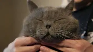 Щёчки сводят меня с ума
