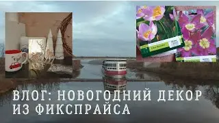 ВЛОГ: Покупки из фикспрайса/ОЗОН/опять Речной вокзал