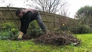 Early Spring Garden Clean up