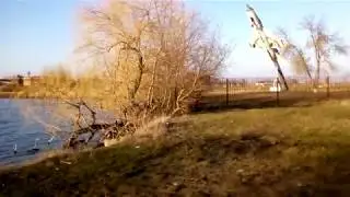 Места для рыбалки Краснодарский край ст Ивановская
