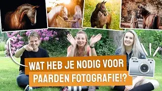 Wat heb je nodig voor paardenfotografie?!