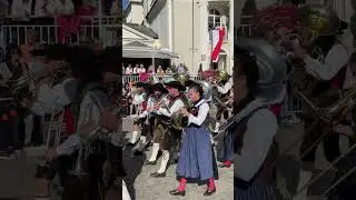 Праздник Винограда, Парад музыкальных капелл #merano  #4k #shorts
