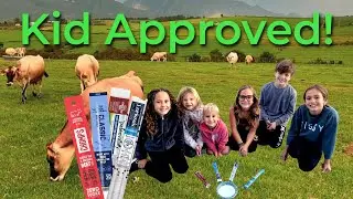 We Tested the Best Beef Sticks to find the Best One!
