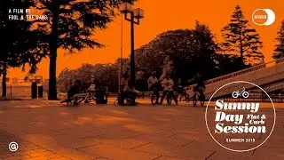 Sunny Day Session - Summer 2015