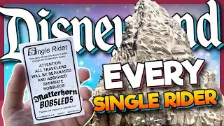 EVERY Single Rider Line at Disneyland & DCA and How it Works