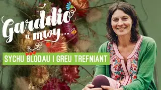 Garddio a Mwy | Sychu Blodau i Greu Trefniant