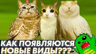 HOW DOES EVOLUTION CREATE NEW SPECIES? | The Origin of Species | Are Scientists Revealing the Truth?