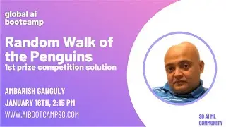 Random Walk of the Penguins - 1st prize competition solution