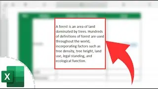 How to Wrap Text in Excel