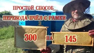 A simple way to transfer bees from a 300 frame to a 145 frame.