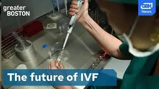 Could Alabama's IVF ruling impact Massachusetts?
