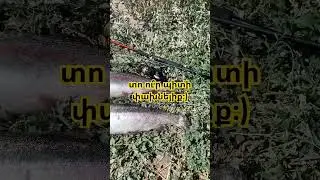 Իշխանի ձկնորսություն։)