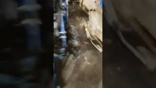 Солис 26, хана передку.