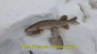 Поездка на рыбалку зимой на реку Лозьва в ноябре 2019 года.