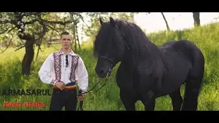 Ionut Nemes - Armasarul 🦄 (Official Video)