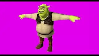 shrek t-posing for 30 seconds straight