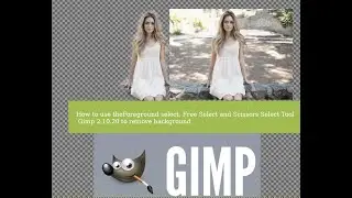 Gimp 2.10.20. How to remove background. Select Tools: Foreground select, Free select, Scissors Tool.