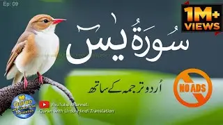 Surah Yaseen / Yasin with Urdu Tarjuma | Quran tilawat | Episode 09 | Quran with Urdu Translation