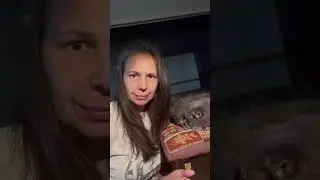 #кошки