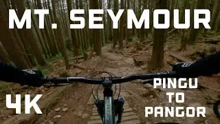 Pingu to Pangor | Mt Seymour | Vancouver, BC | MTB