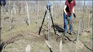 Grapevine removal tool DIY