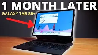 GALAXY TAB S9 PLUS: 1 MONTH LATER! [FULL LONG TERM REVIEW!]